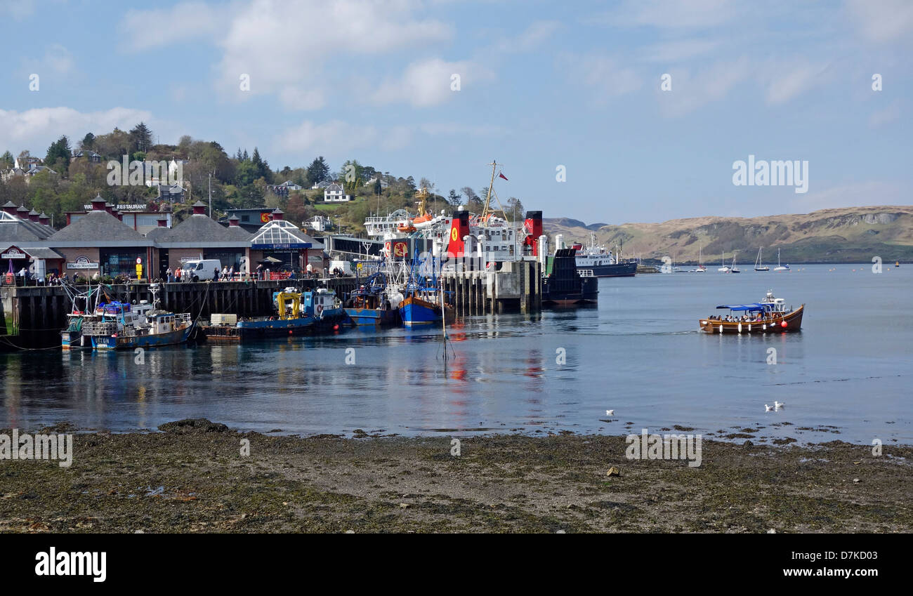 Kreuzfahrt Schiff segeln zur Abdichtung der Kolonie auf Passagiere in Oban Hafen Argyle und Bute Schottland genommen haben Stockfoto