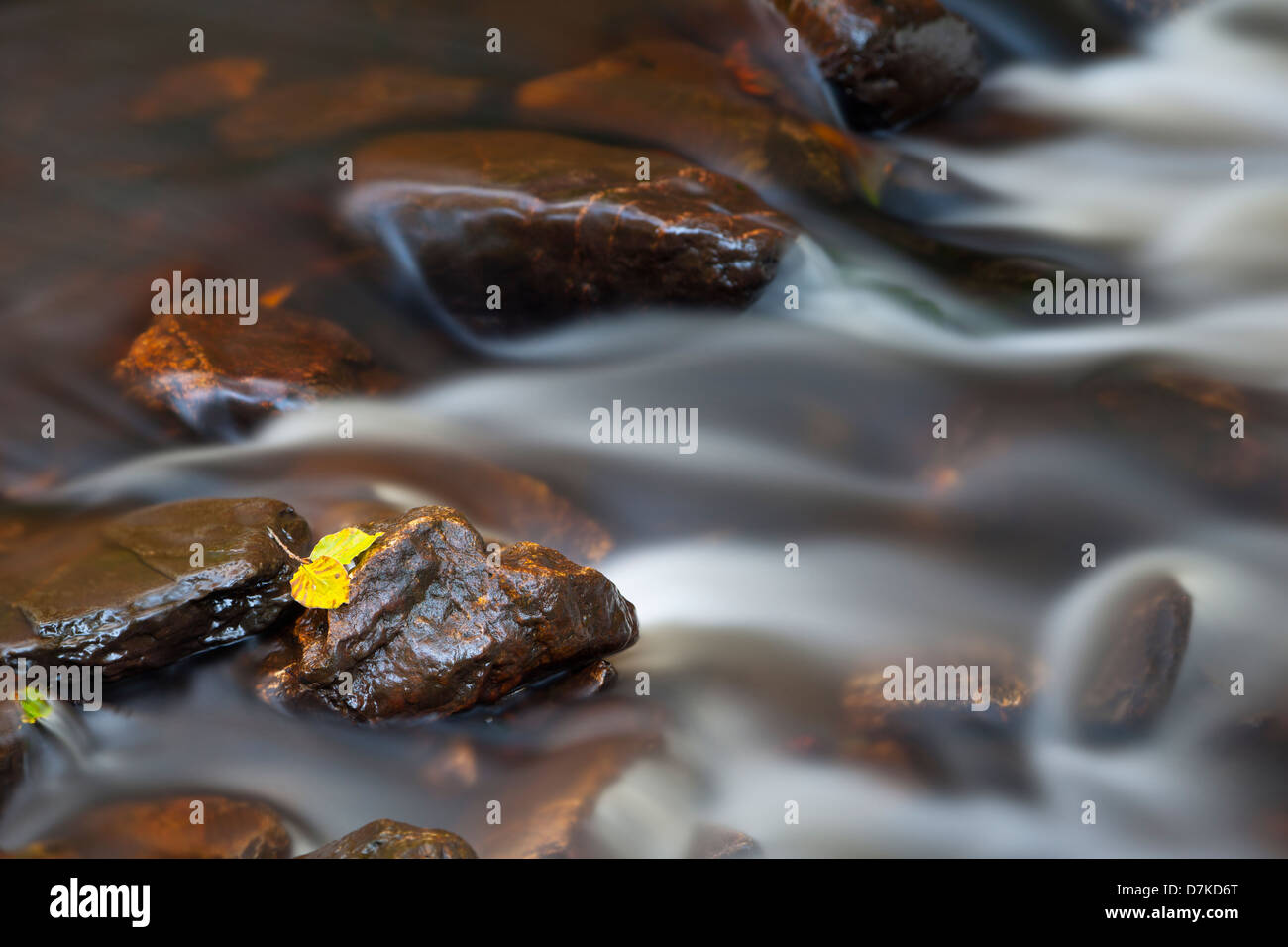 Ein gelbes Blatt in einem kleinen Fluss im Herbst, Langzeitbelichtung geschossen. Stockfoto