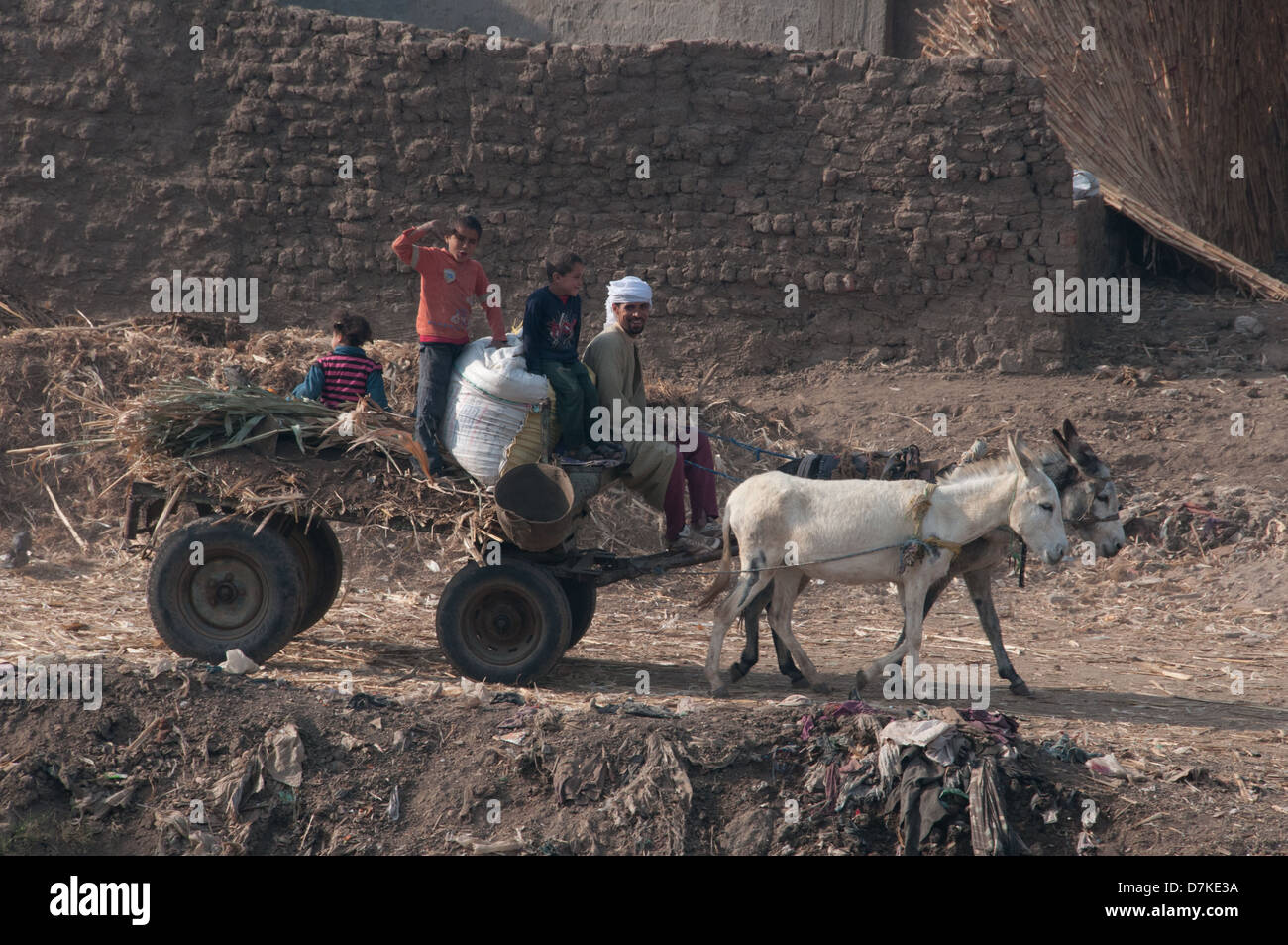 Tägliche Szene in der ägyptischen Landschaft - Minya Governate Ägypten Stockfoto