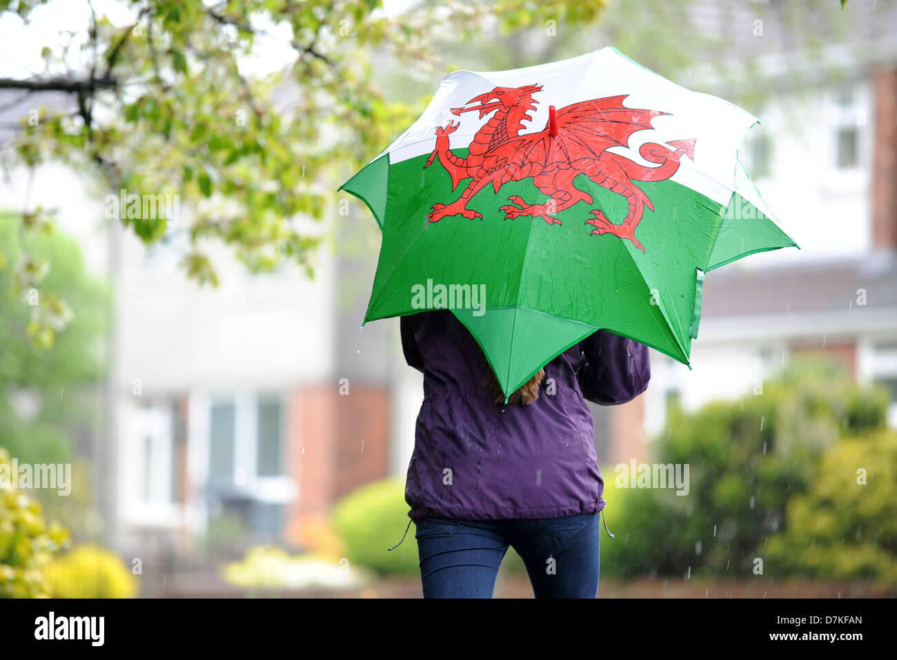 Cardiff, Wales, Großbritannien. 9. Mai 2013.   Eine Mädchen nutzt einen Regenschirm um Unterschlupf vor dem Regen in Rhiwbina, Cardiff. Mehr nasse Wetter hat für das Wochenende vorhergesagt. Bildnachweis: Matthew Horwood /Alamy Live-Nachrichten Stockfoto