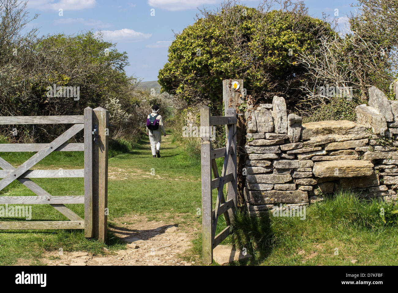 Durlston Country Park, Lady auf dem Fußweg, Tor und Mauer, Isle of Purbeck, Swanage, Dorset, England, UK. Europa Stockfoto