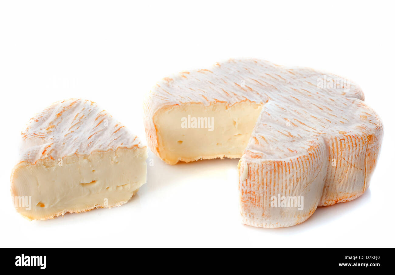 französischer Käse aus pasteurisierter Kuhmilch vor weißem Hintergrund Stockfoto