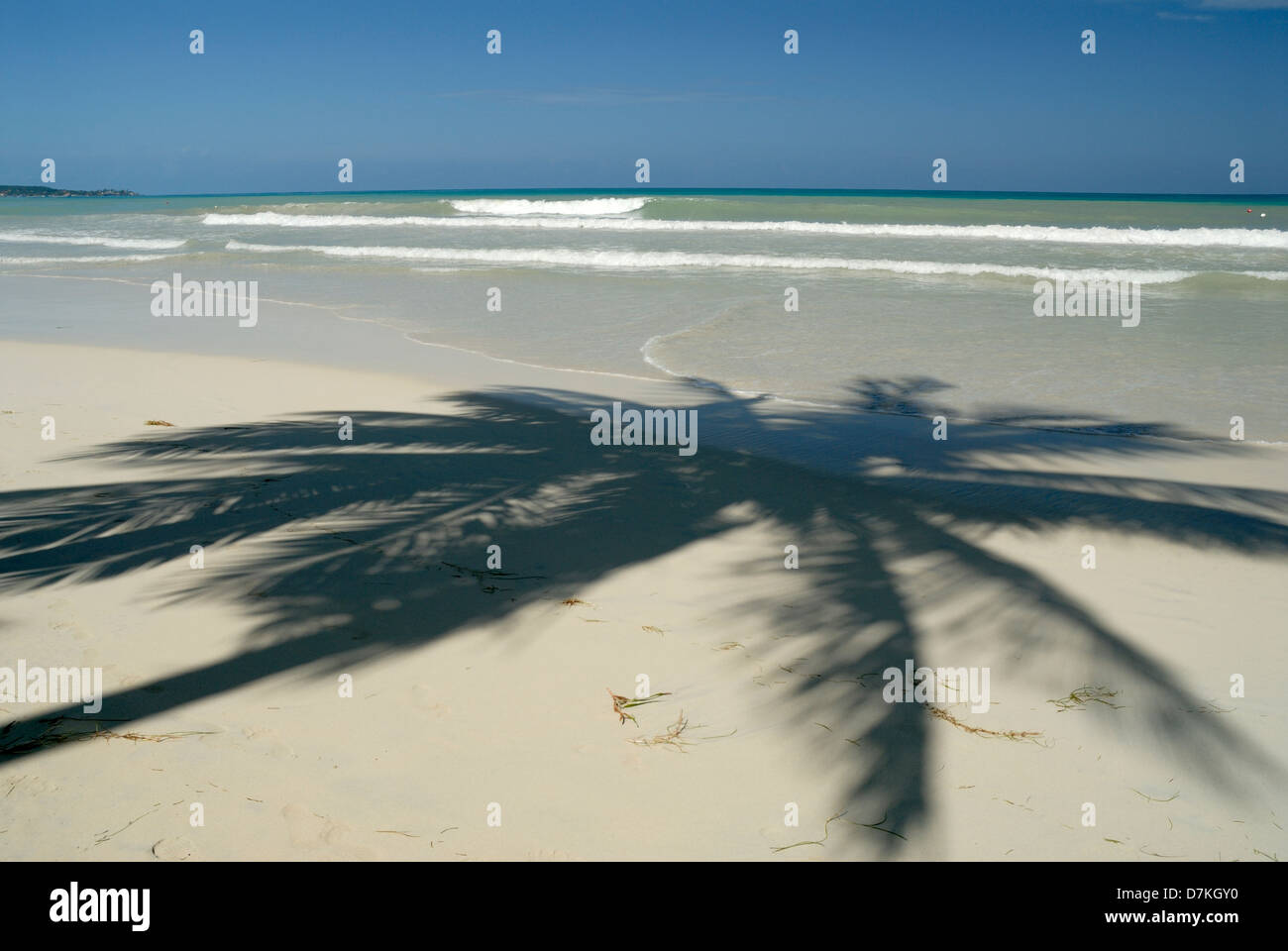 Palm-Schatten am 7 Mile Beach Stockfoto