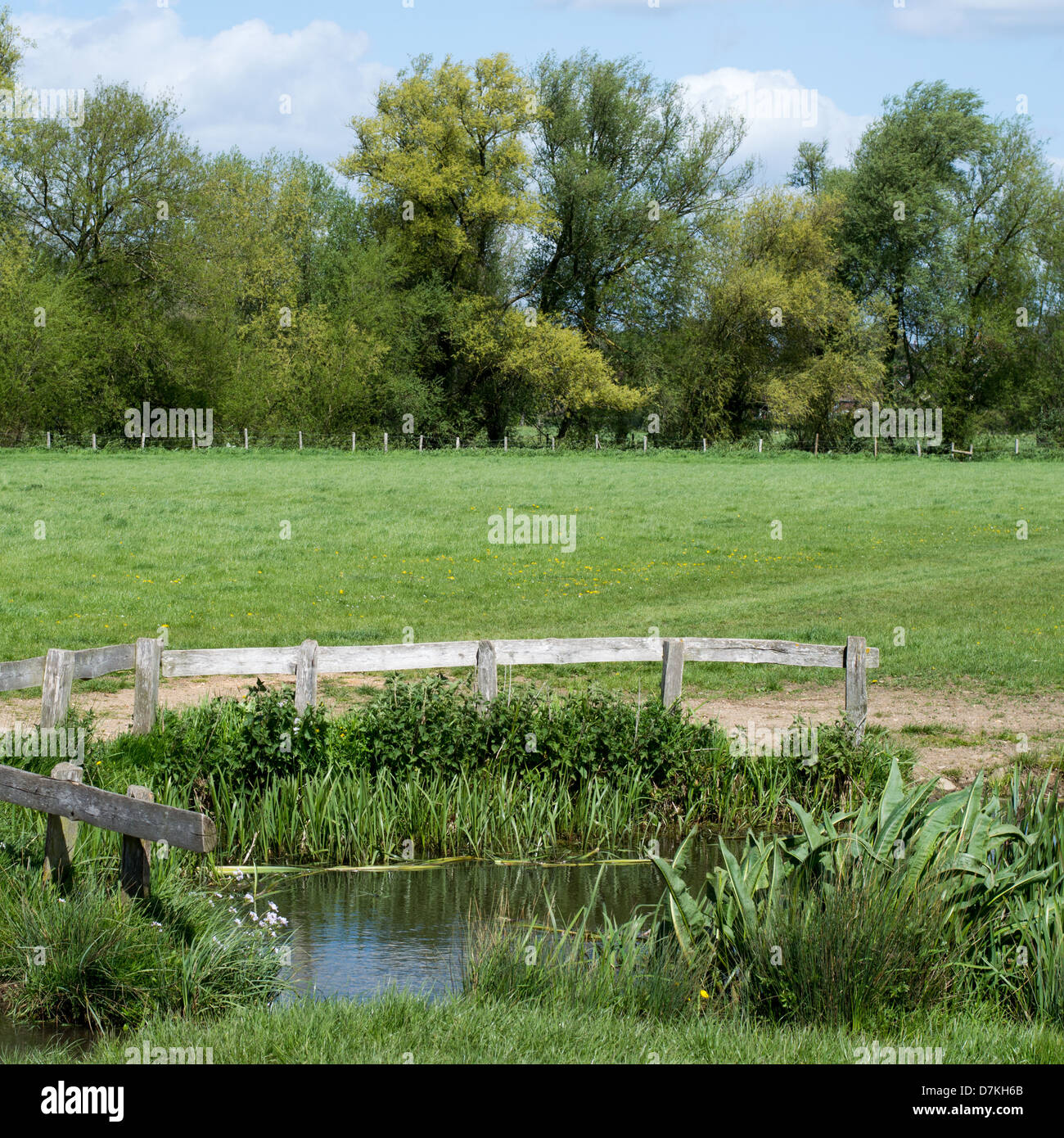 Ein kleiner Teich, bewacht von hölzernen Zäune, in einem Feld mit Bäumen im Hintergrund. Stockfoto