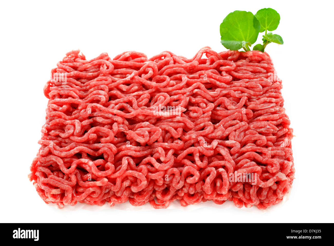 Rind Hackfleisch vor weißem Hintergrund Stockfoto
