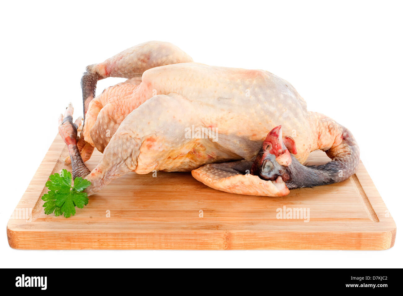 Perlhühner Auflauf ungekocht vor weißem Hintergrund Stockfoto