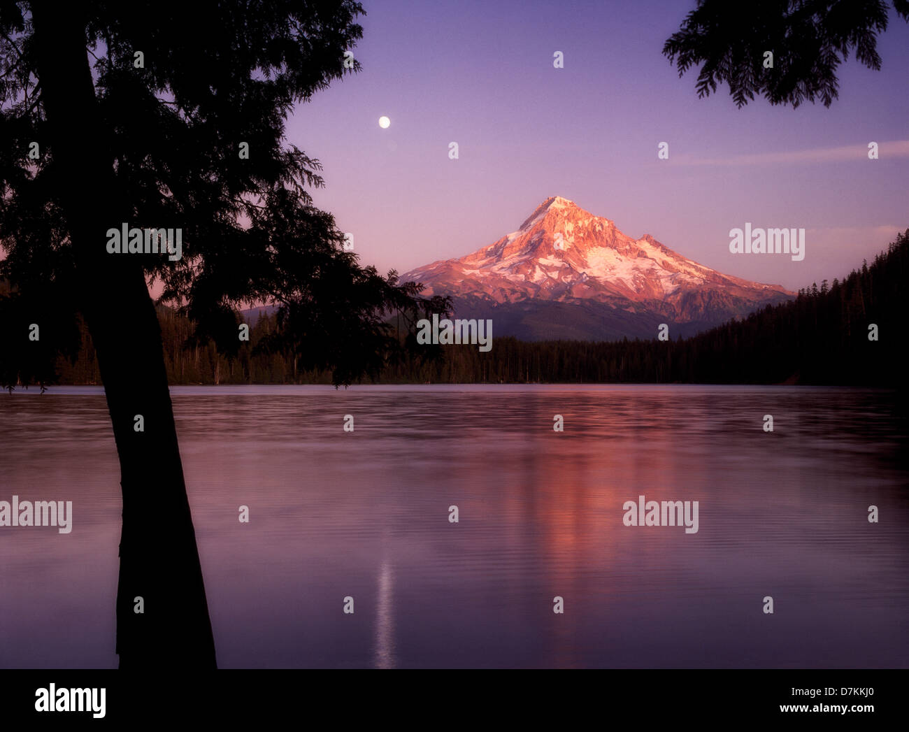 Verlorenen See und Mount Hood mit Mondaufgang. Oregon. Stockfoto