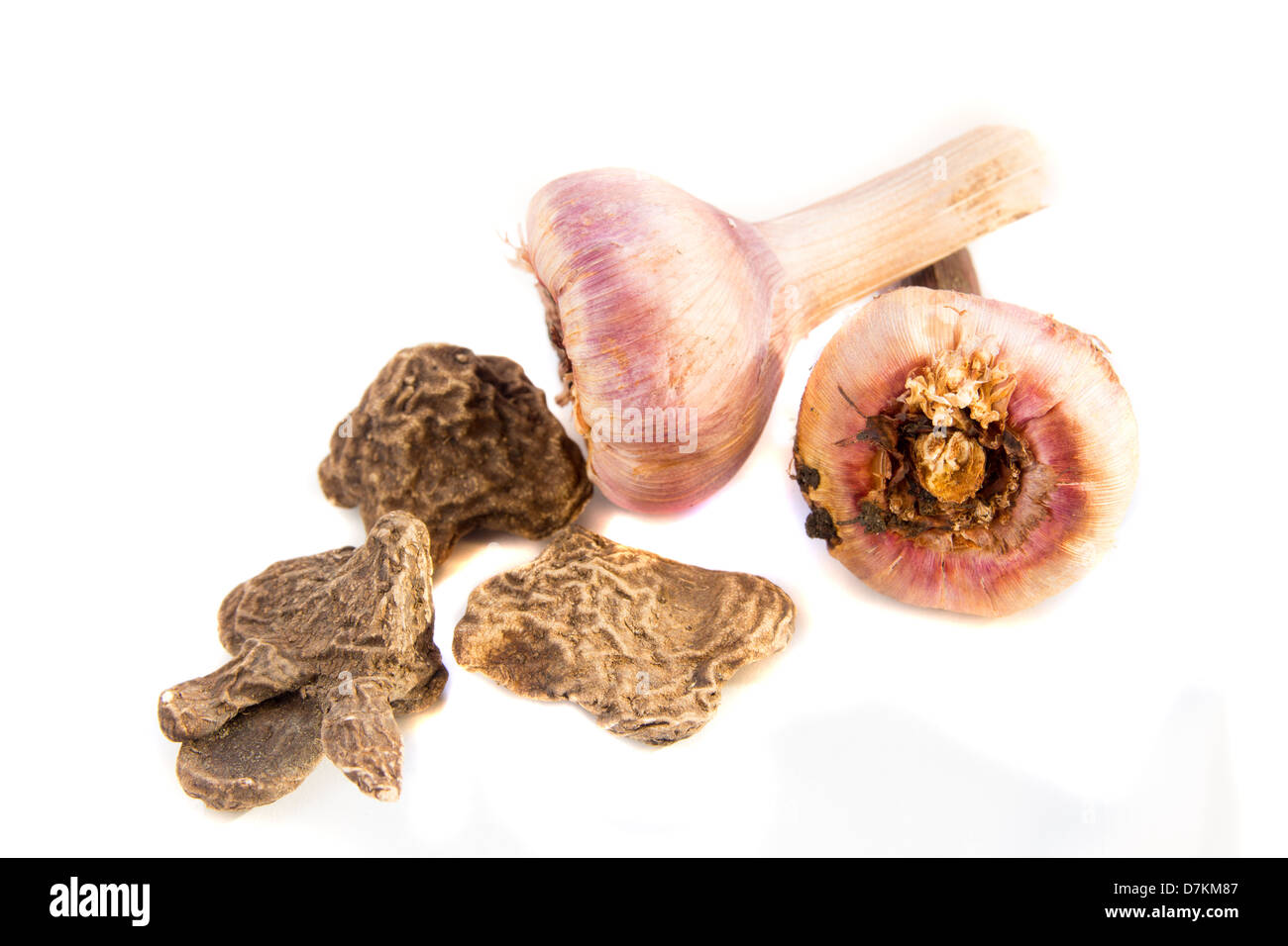 Gladiolen Blumenzwiebeln und Samen von Anemonen hautnah isoliert auf weißem Hintergrund. Stockfoto