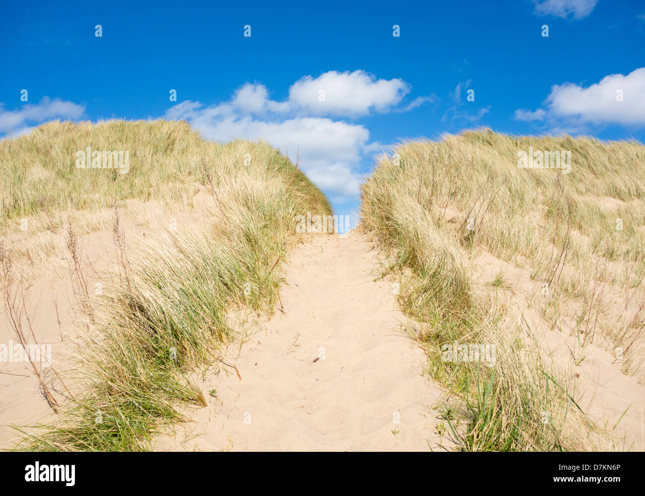Fußweg durch die Dünen zum Strand im Teesmouth natürliche Naturreservat in der Nähe von Seaton Carew, Hartlepool, England, UK Stockfoto