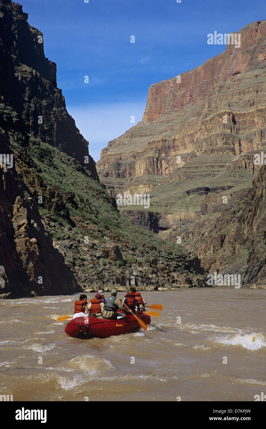 Sparren auf niedrigere Grand Canyon. (Zwischen Diamant und Lake Mead) Arizona. (MR) Stockfoto