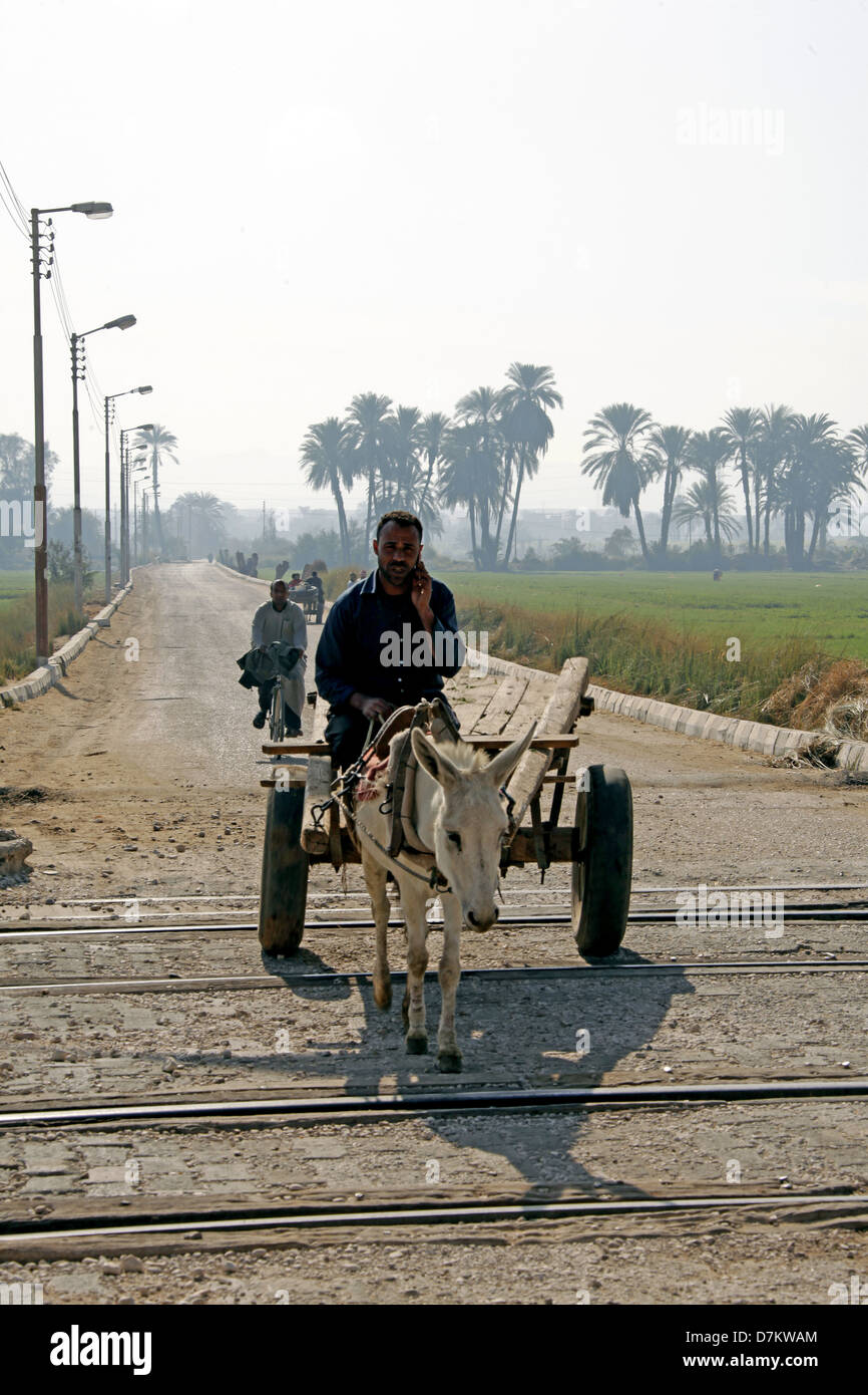 Man With Donkey Cart Stockfotos Man With Donkey Cart Bilder Alamy