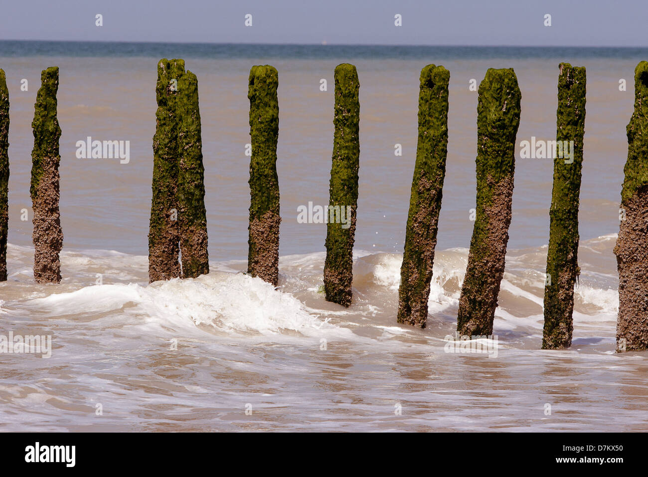 Strand mit Holzpfählen eingehende Flut Stockfoto