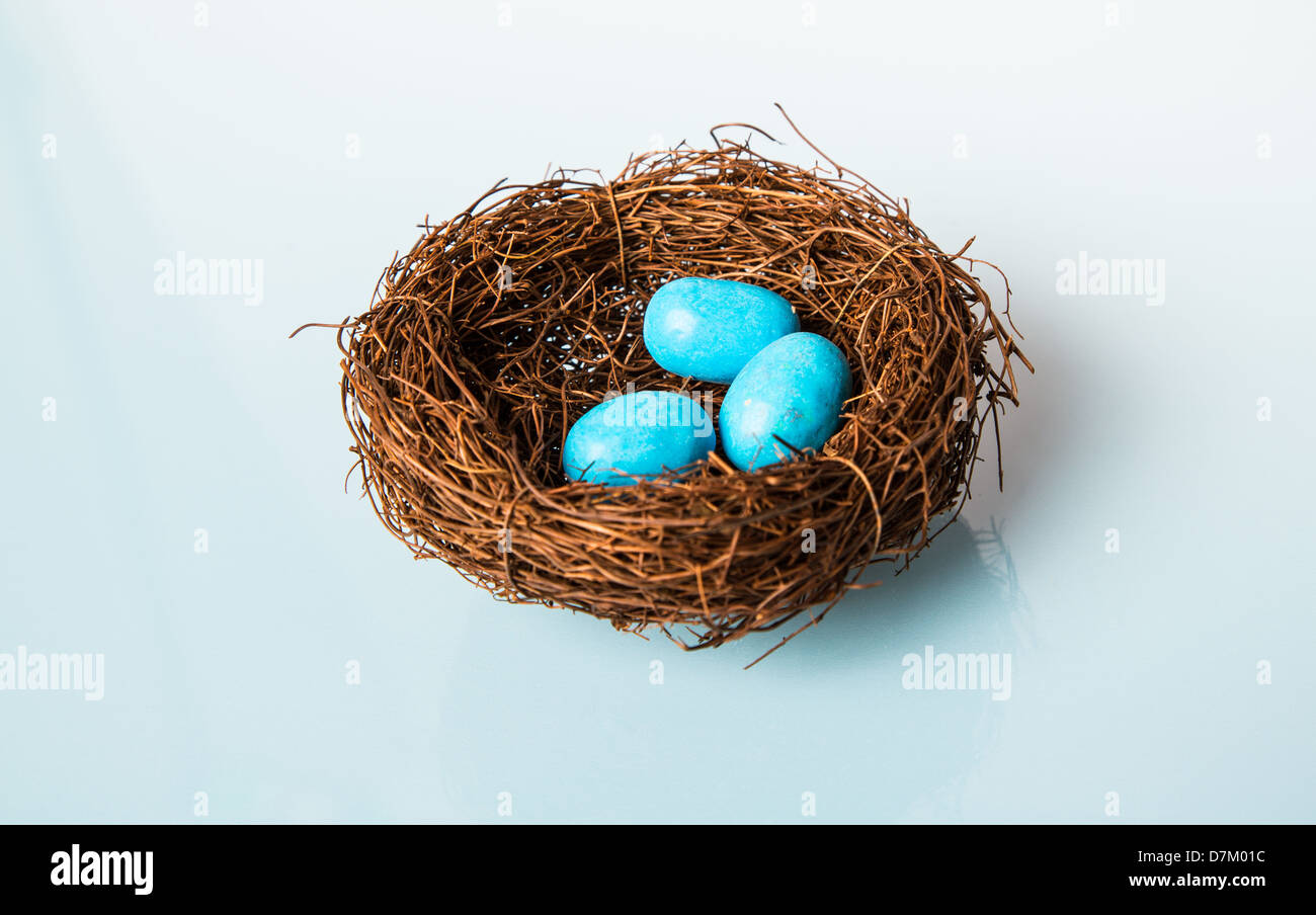 Frühling Nest voll Eier blau Robin. Studio auf blau isoliert. Stockfoto