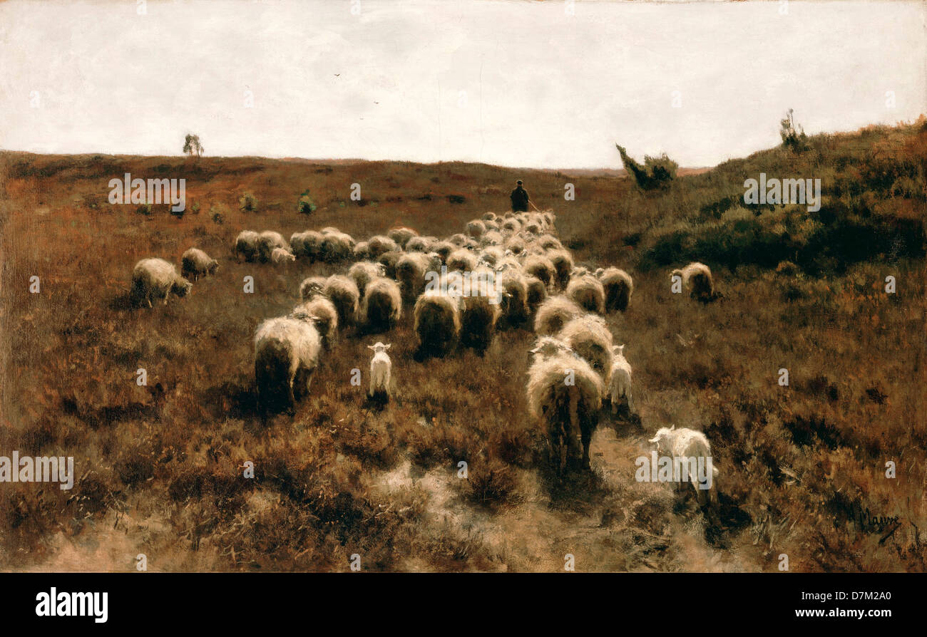 Anton Mauve, die Rückkehr der Herde, Laren 1886 / 87-Öl auf Leinwand. Philadelphia Museum of Art, Pennsylvania Stockfoto