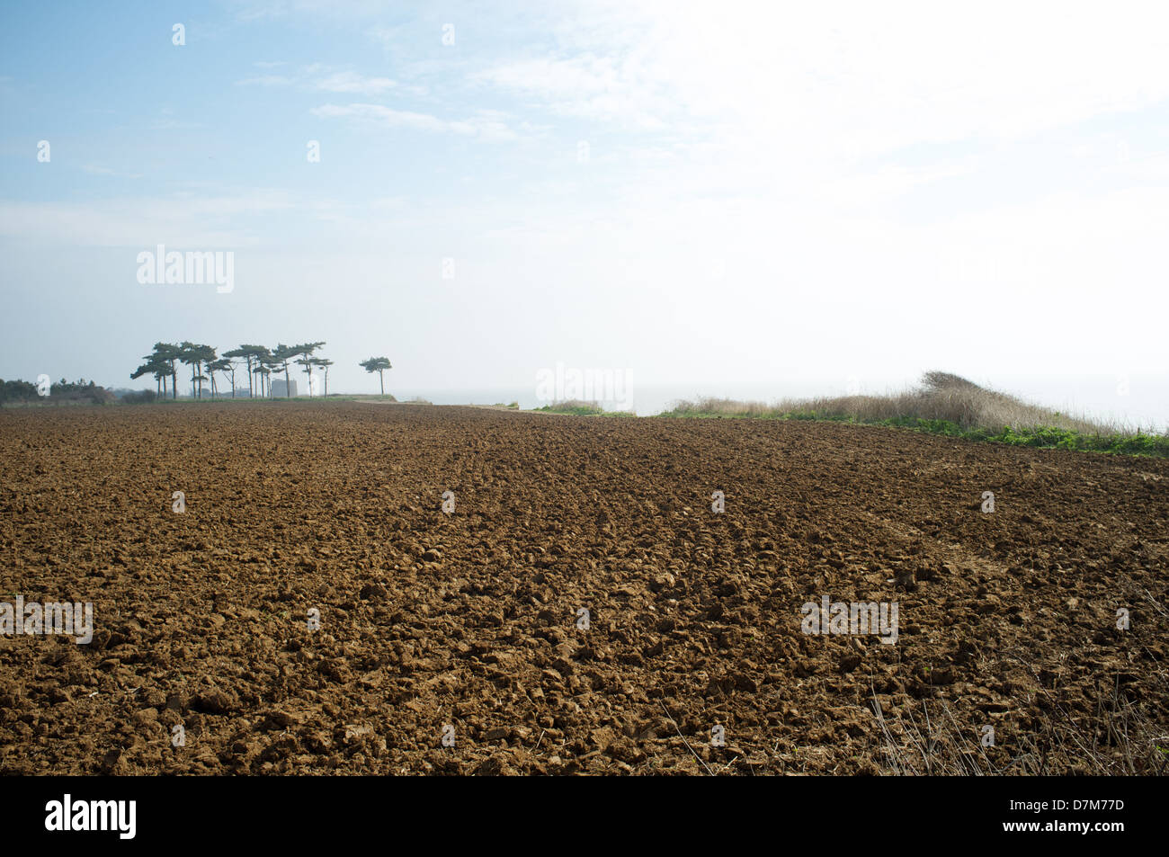Gepflügte Ackerland Bawdsey Suffolk UK Stockfoto