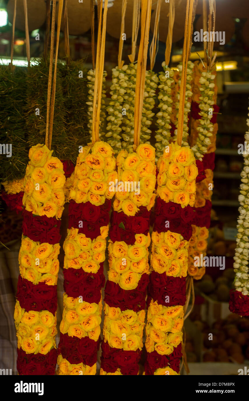 Girlande aus mehreren Farben der Blume Stockfoto