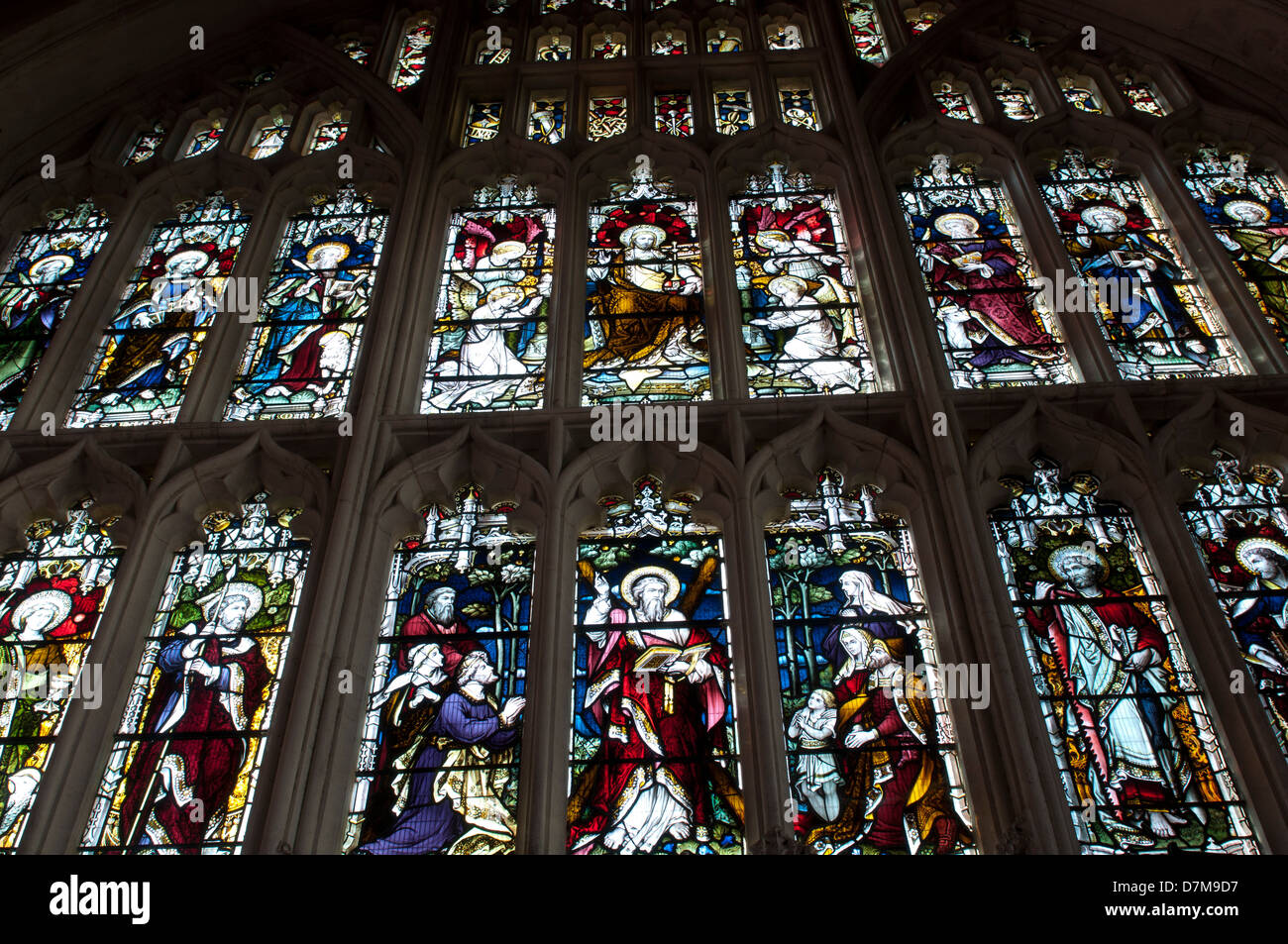 Westfenster, St.-Andreas Kirche, Colyton, Devon, England, UK Stockfoto