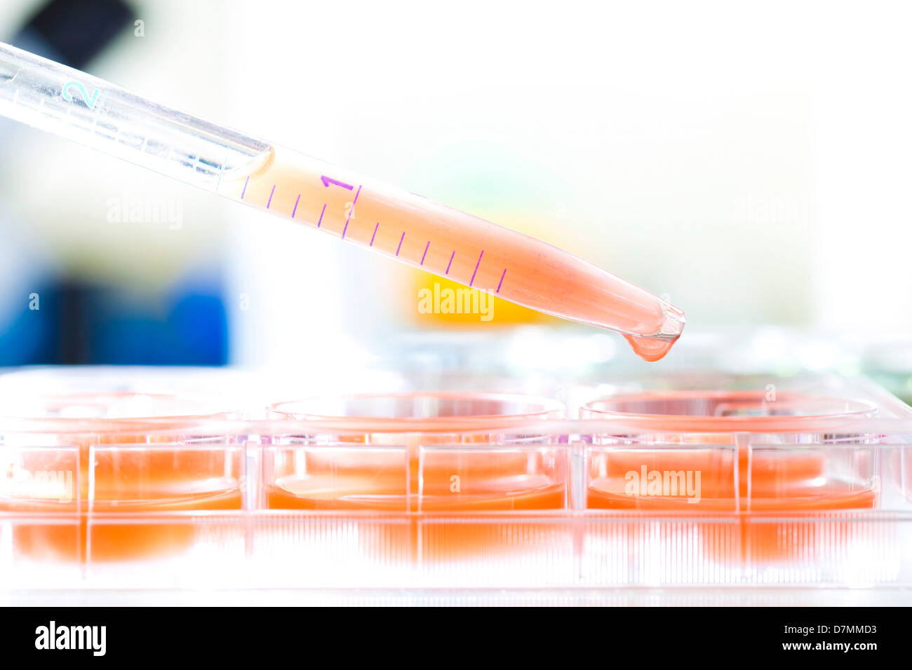 Biologische Forschung Stockfoto