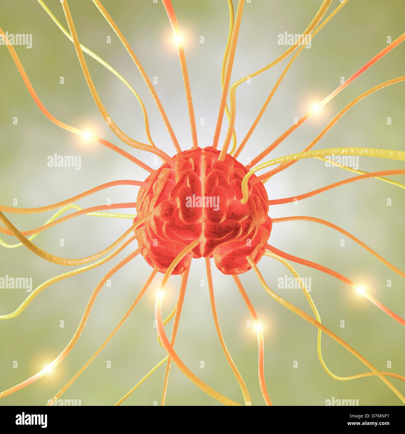 Zentralnervensystem, artwork Stockfoto