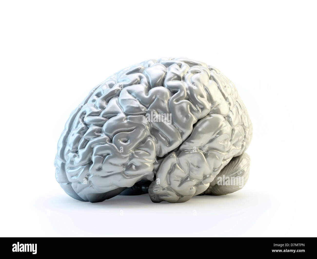 Menschliche Gehirn, artwork Stockfoto