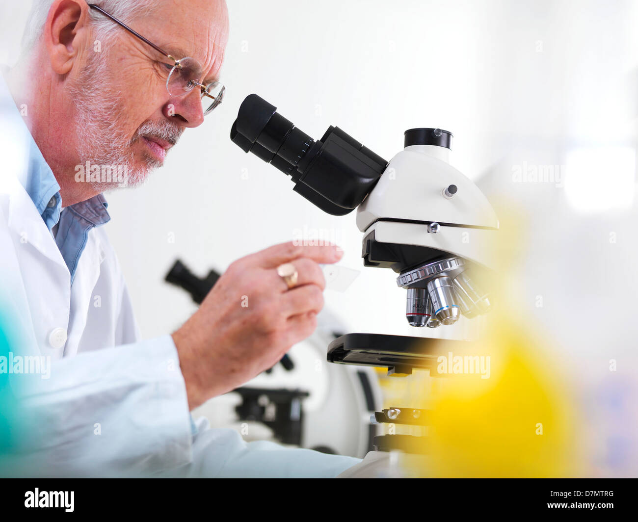 Biologische Forschung Stockfoto