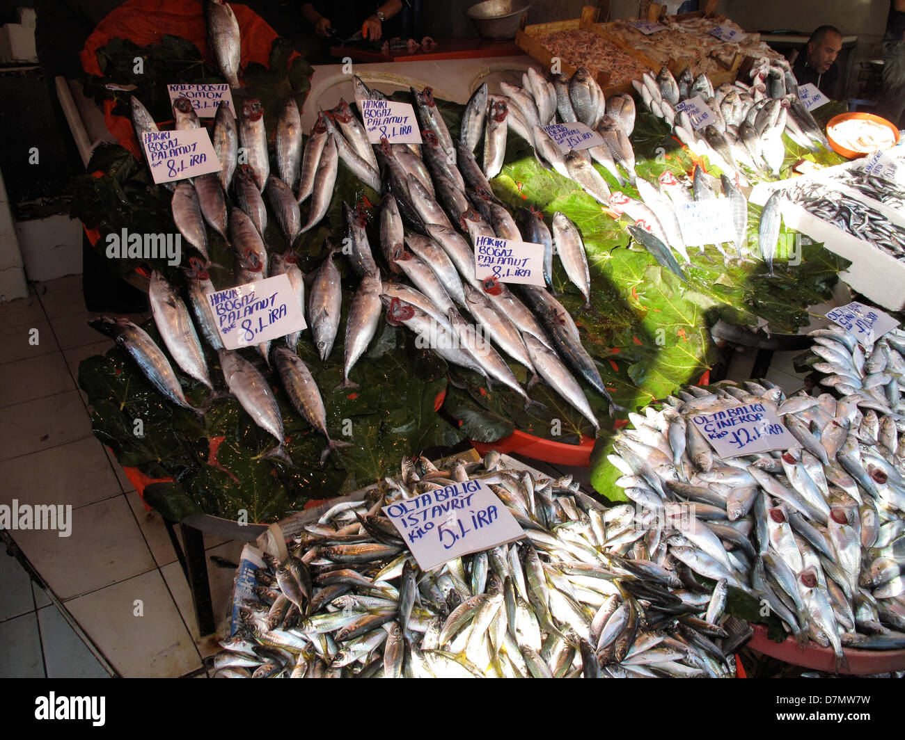 Istanbul Türkei, Fischmarkt Stockfoto