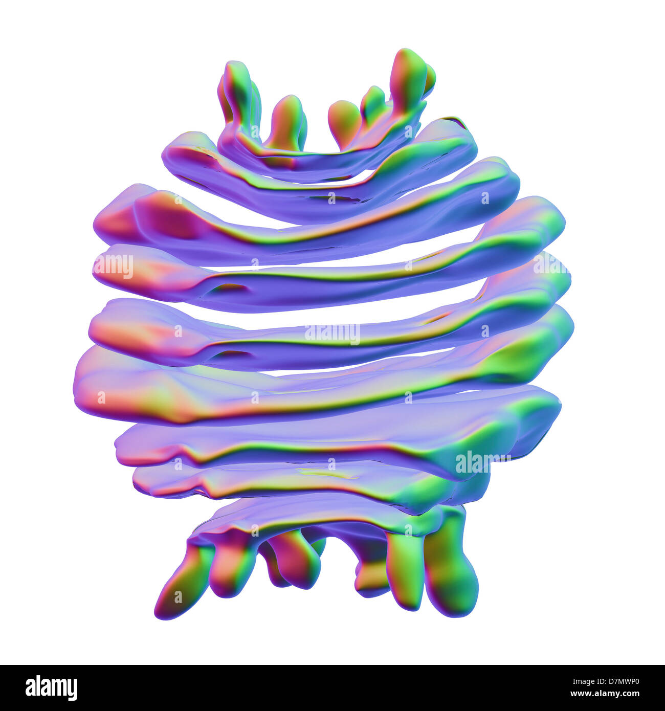 Golgi-Apparat, artwork Stockfoto