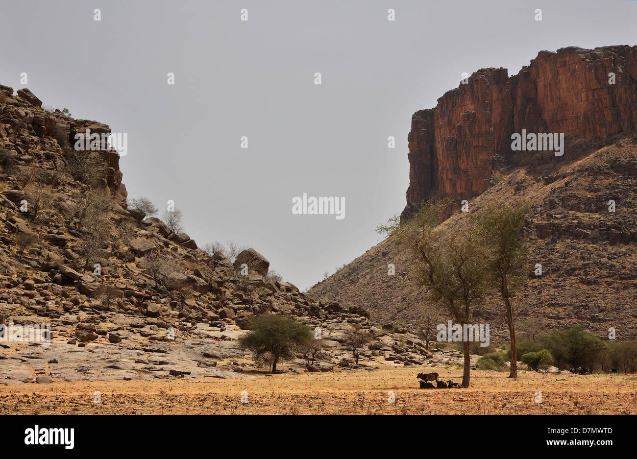 Verwitterter Sandstein Strebepfeiler und Böschungen in der Nähe von Village of Bone, zentrale Mali Stockfoto