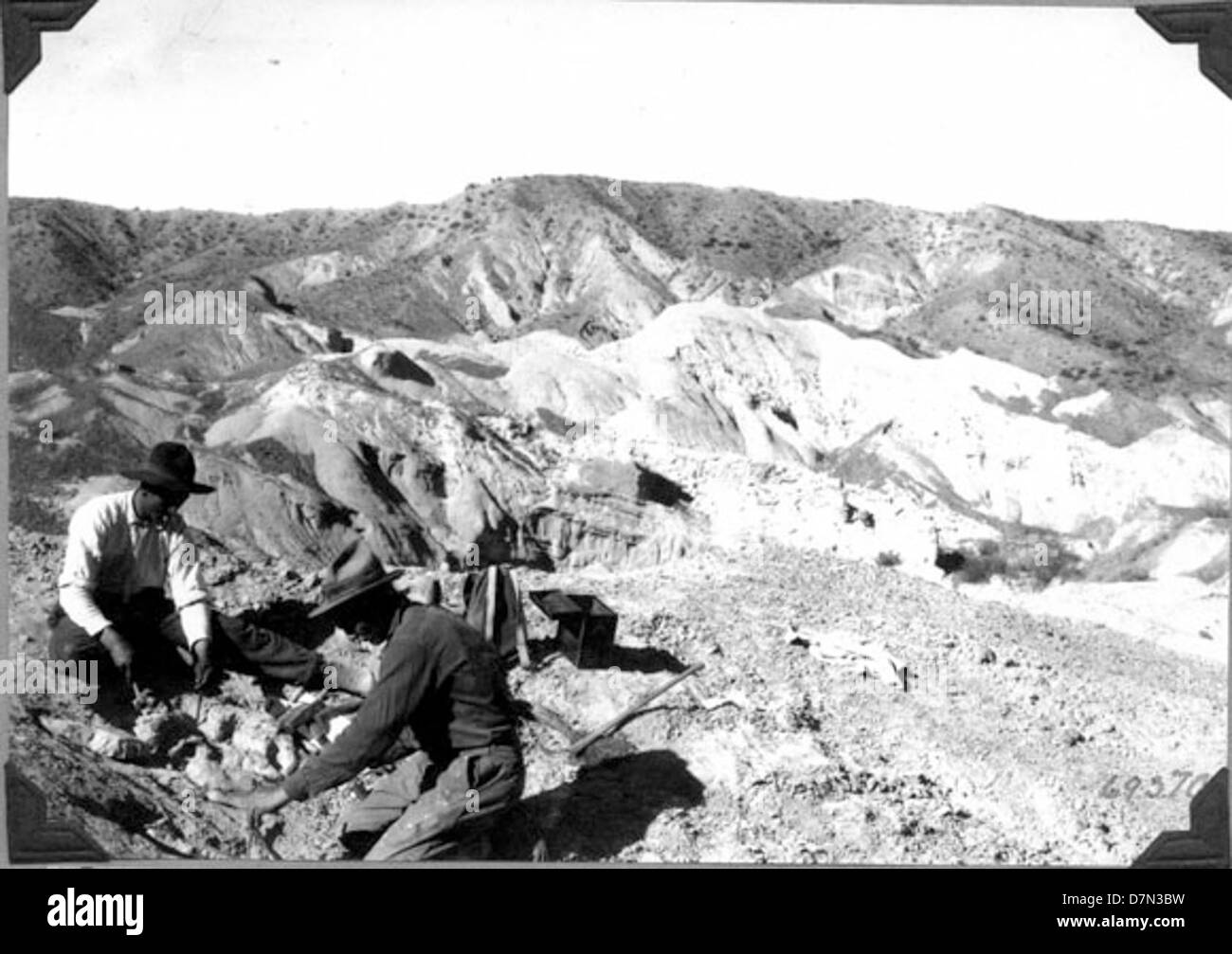 Robert C. Thorne und Felipe Mendez arbeiten an Fossilien Stockfoto