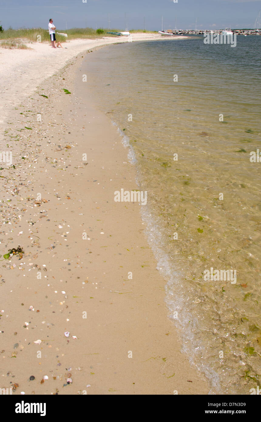 Massachusetts, Martha es Vineyard Vineyard Haven. Hafen Bereich Sandstrand. Stockfoto