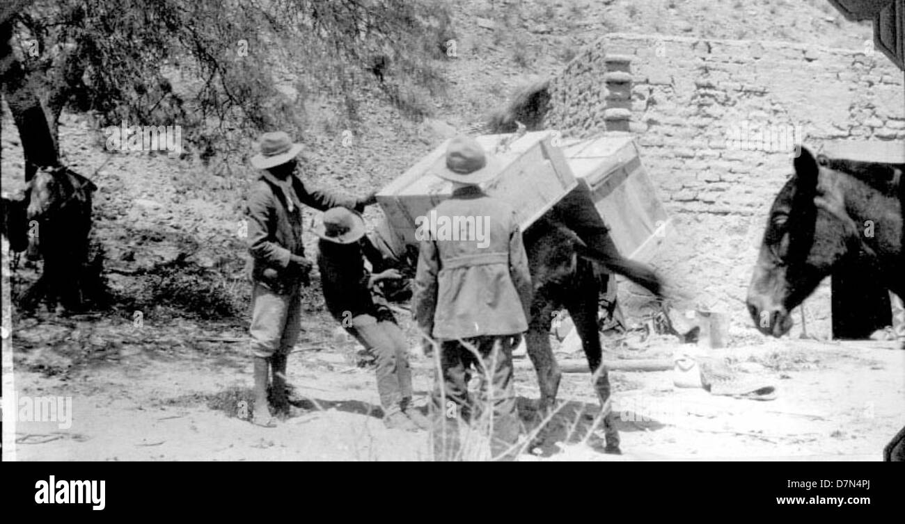 Männer laden Pack Pantoletten mit Fossilien Stockfoto