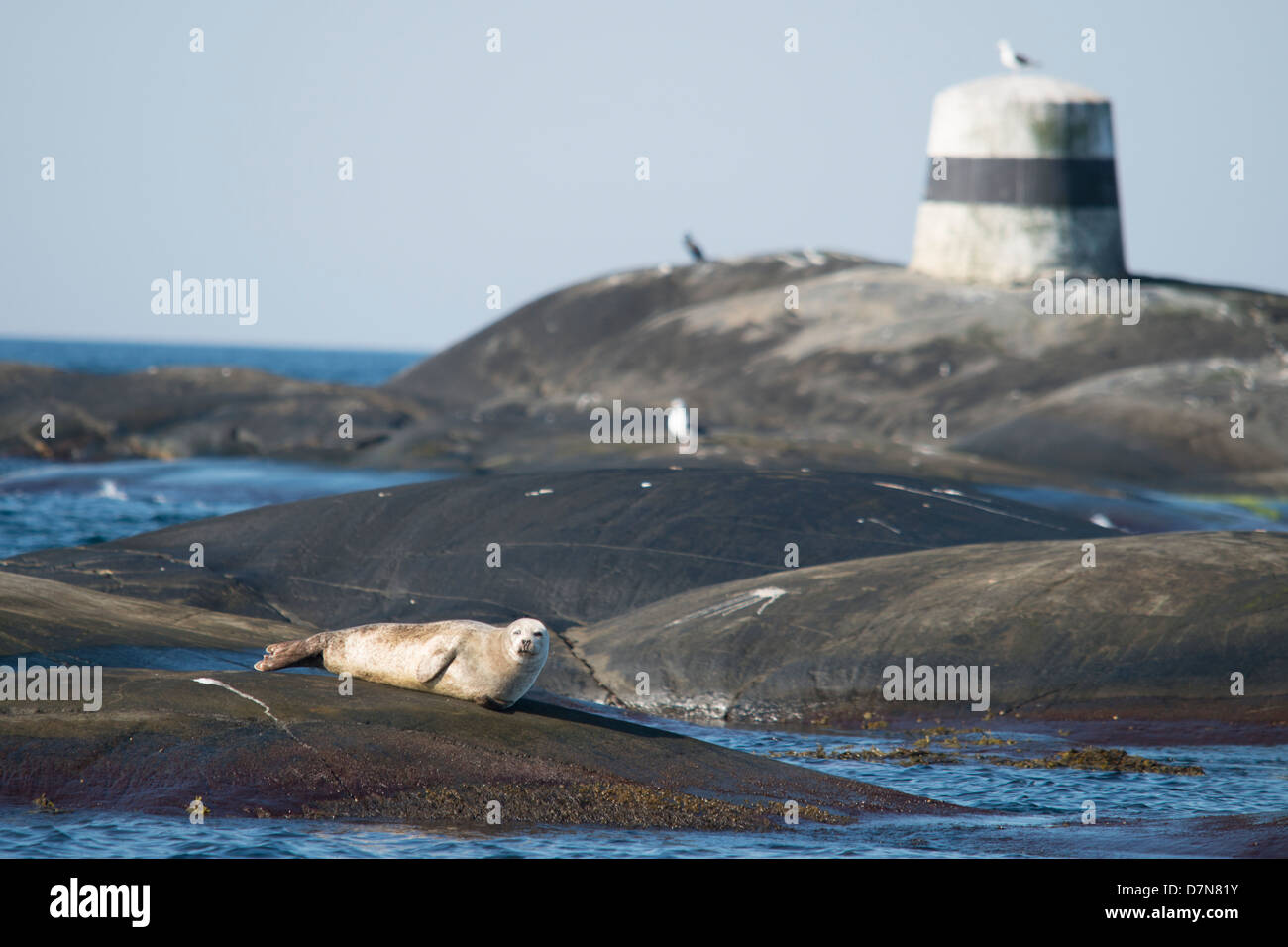 Schweden, Küste Stockfoto