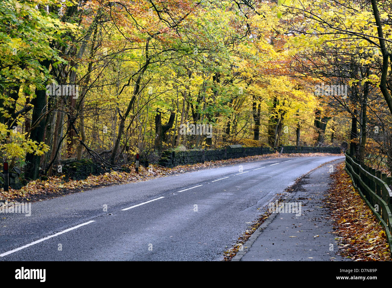 Leere Landstraße im Herbst, Schottland, Großbritannien, Europa Stockfoto