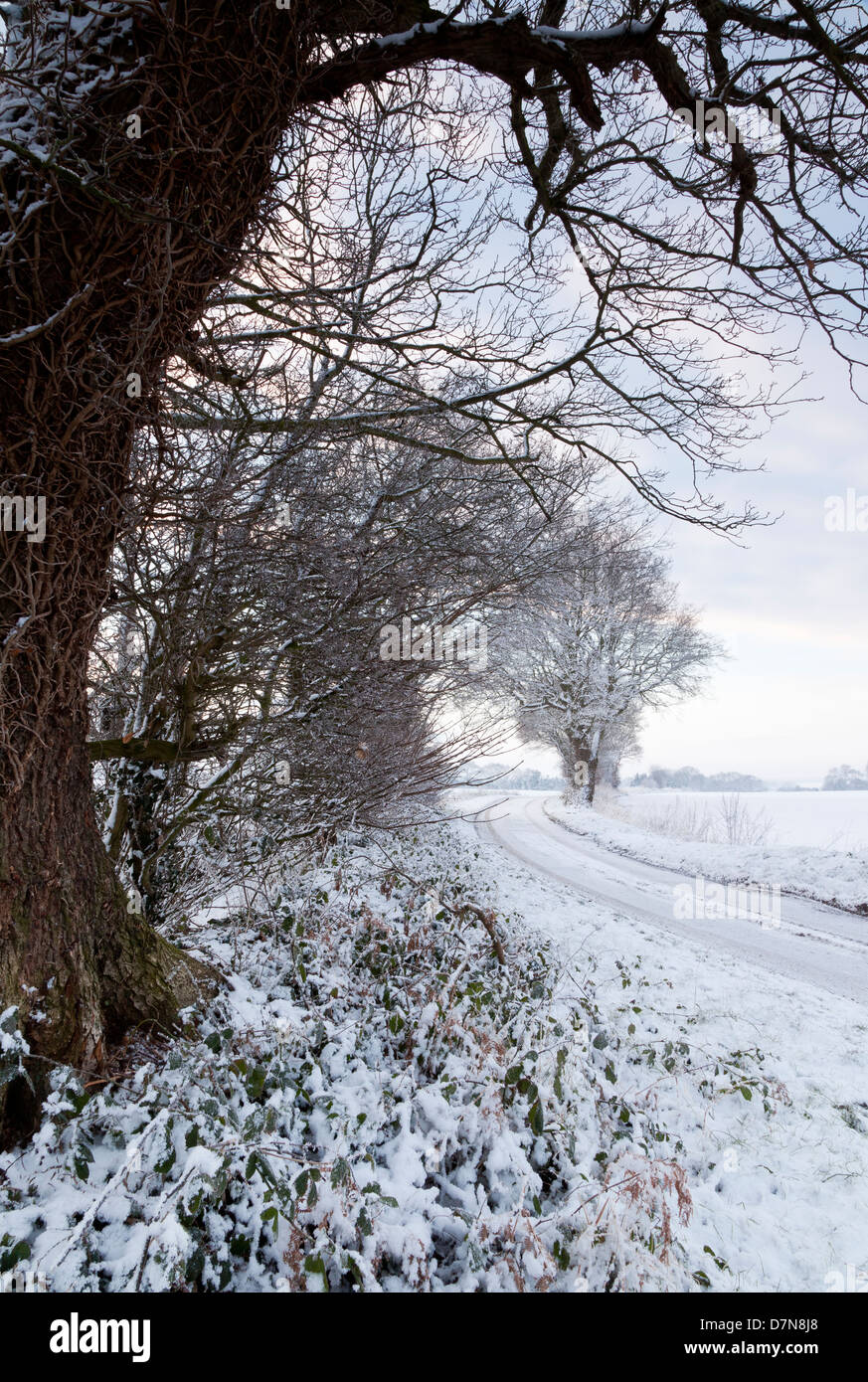 Eine Landstraße in einer verschneiten Landschaft Stockfoto