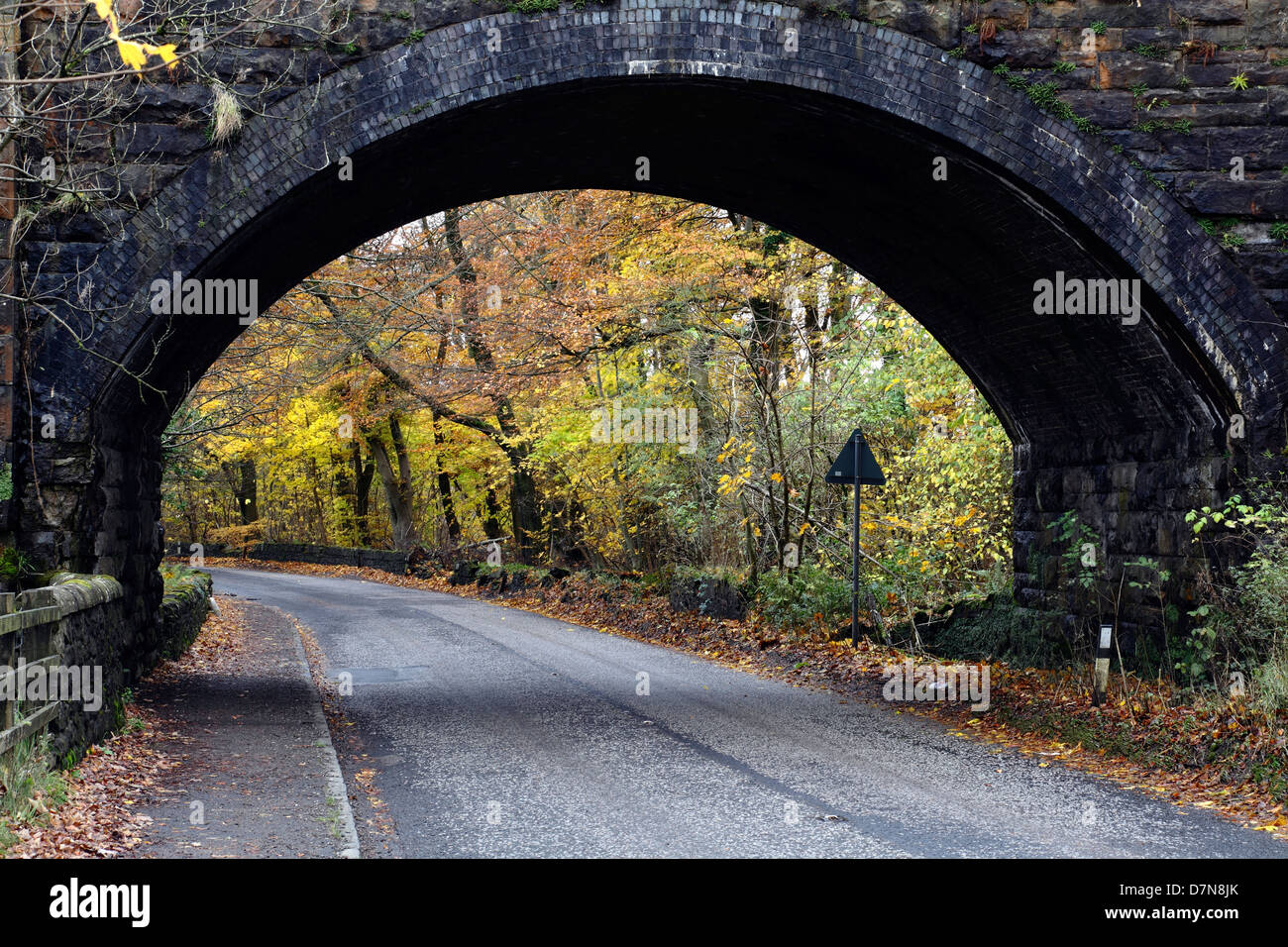 Leere Landstraße unter einer Brücke im Herbst, Schottland, Großbritannien Stockfoto