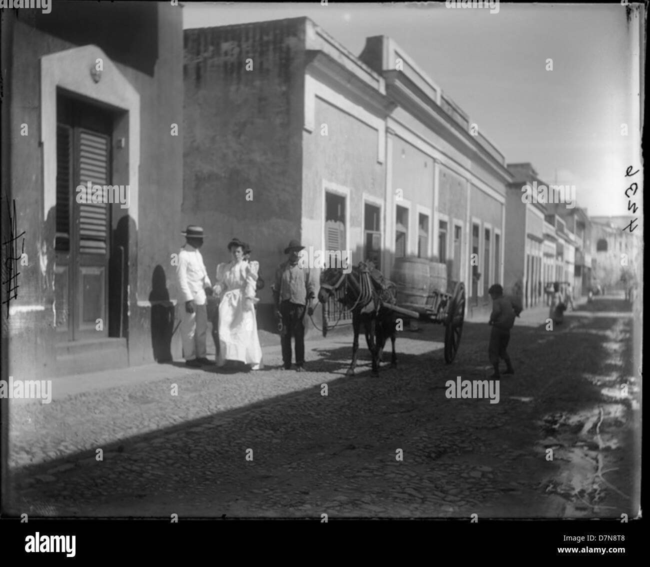 Ein Foto aus dem Jahr 1898-1899, das eine Straßenszene auf Bermuda mit Pferd und Buggy zeigt. Das Bild zeigt den Transport und den Lebensstil der Insel während des späten 19. Jahrhunderts. Stockfoto