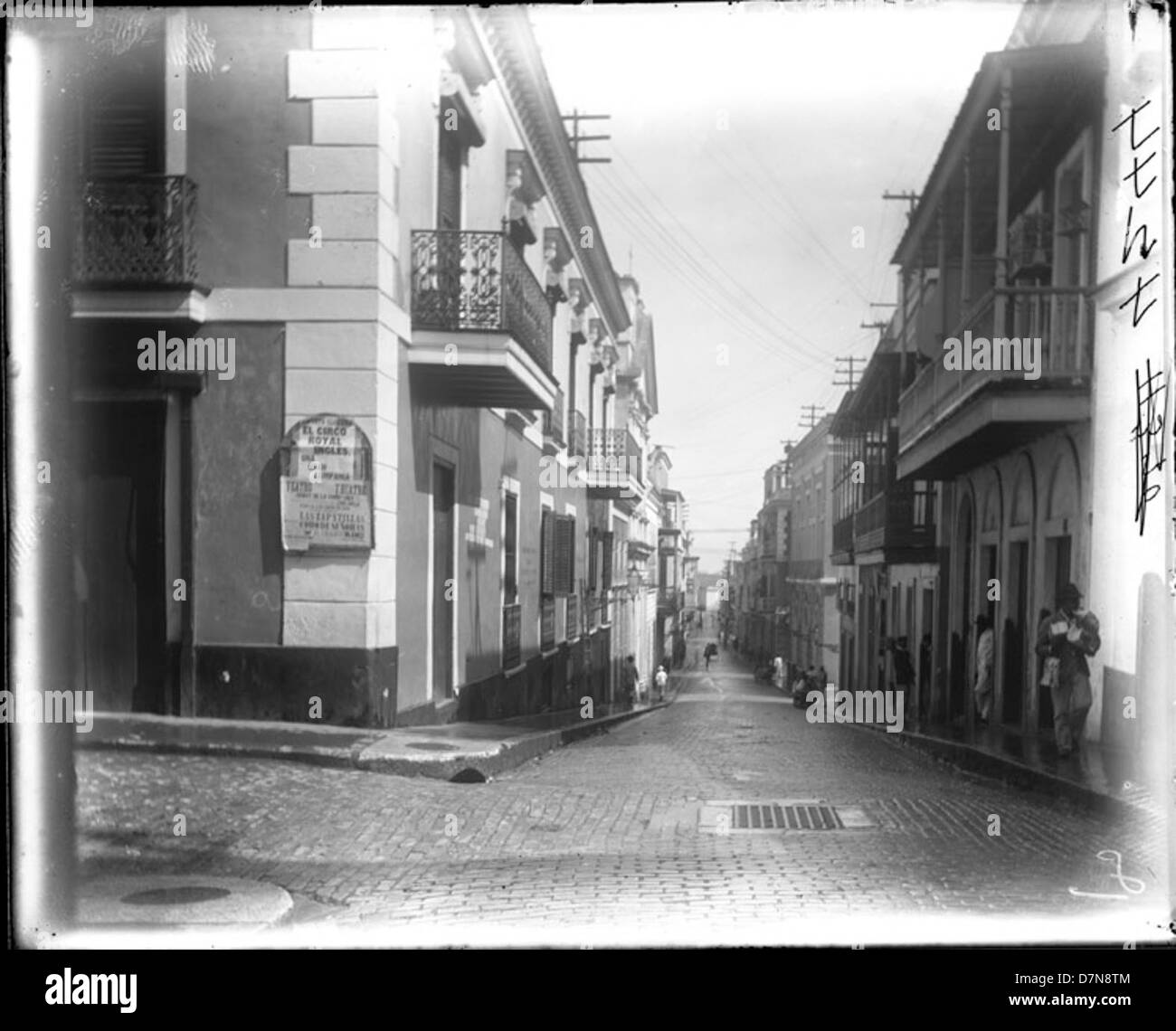 Diese Straßenszene aus Bermuda, die zwischen 1898 und 1899 entstand, erfasst die Kolonialarchitektur und den frühen Tourismus der Insel während des späten 19. Jahrhunderts. Es ist Teil einer Expedition zur Sammlung botanischer Exemplare in der Region. Stockfoto