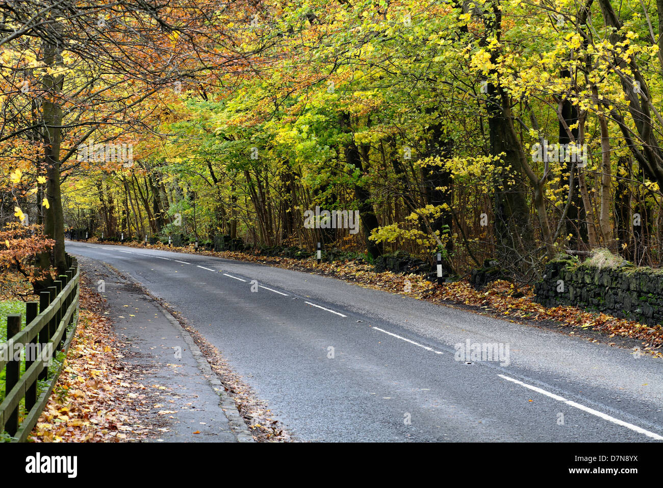 Leere Landstraße im Herbst, Schottland, Großbritannien Stockfoto