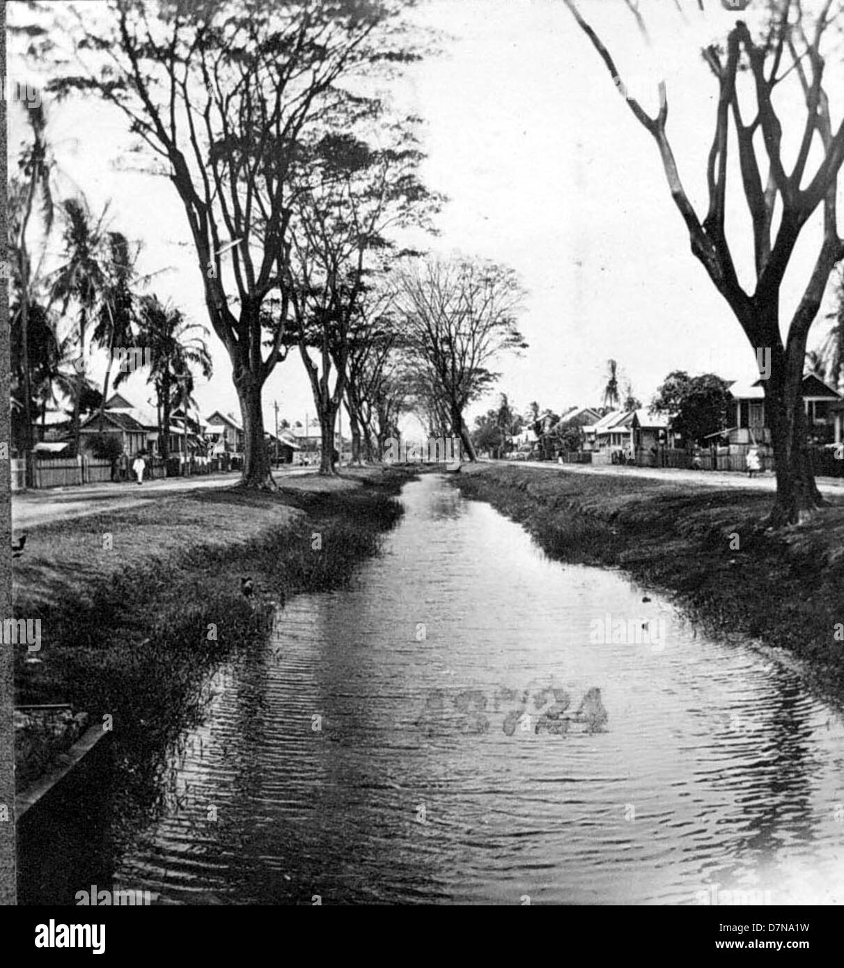 Ein malerischer Blick auf eine von Bäumen gesäumte Straße in Britisch-Guayana im Jahr 1922, durch die Wasser fließt. Das Foto fängt die natürliche Schönheit der Region während des frühen 20. Jahrhunderts ein. Stockfoto