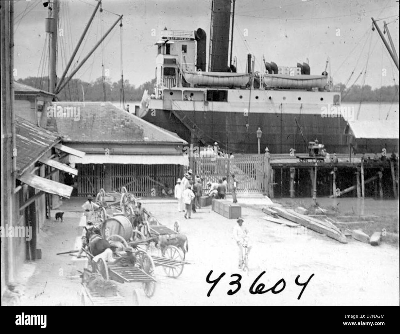 Werft, Dock, Wagen, Pferde, Menschen Stockfoto