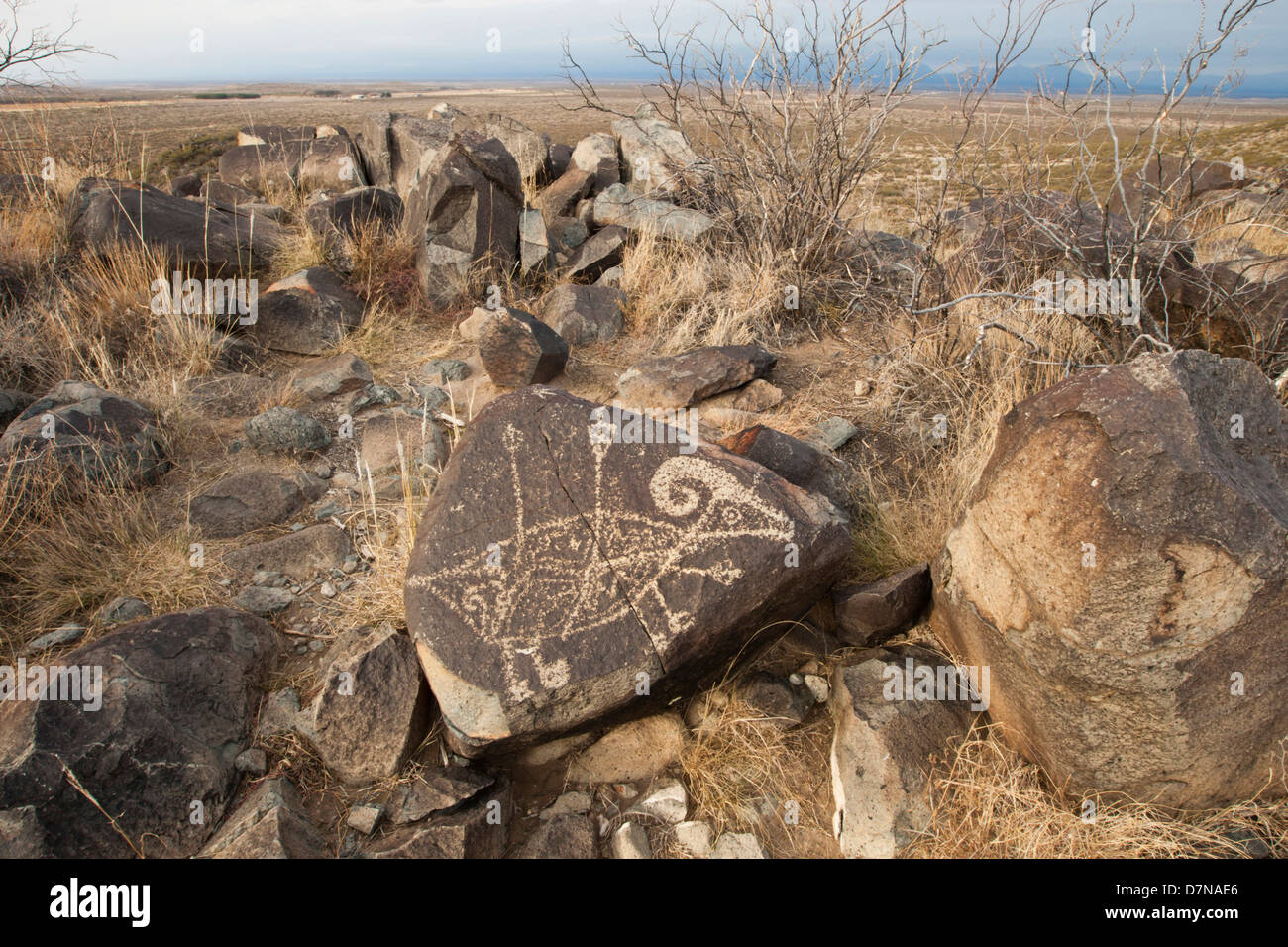 Petroglyphen an drei Flüssen Petroglyph Standort in der Nähe von Tularosa, New Mexico. Stockfoto