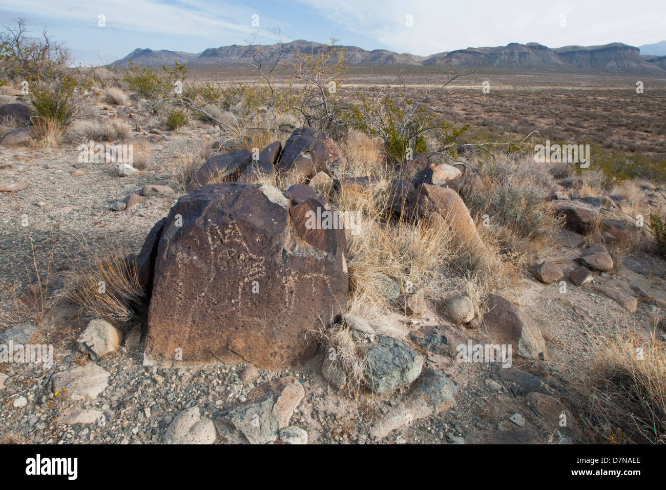 Petroglyphen an drei Flüssen Petroglyph Standort in der Nähe von Tularosa, New Mexico. Stockfoto