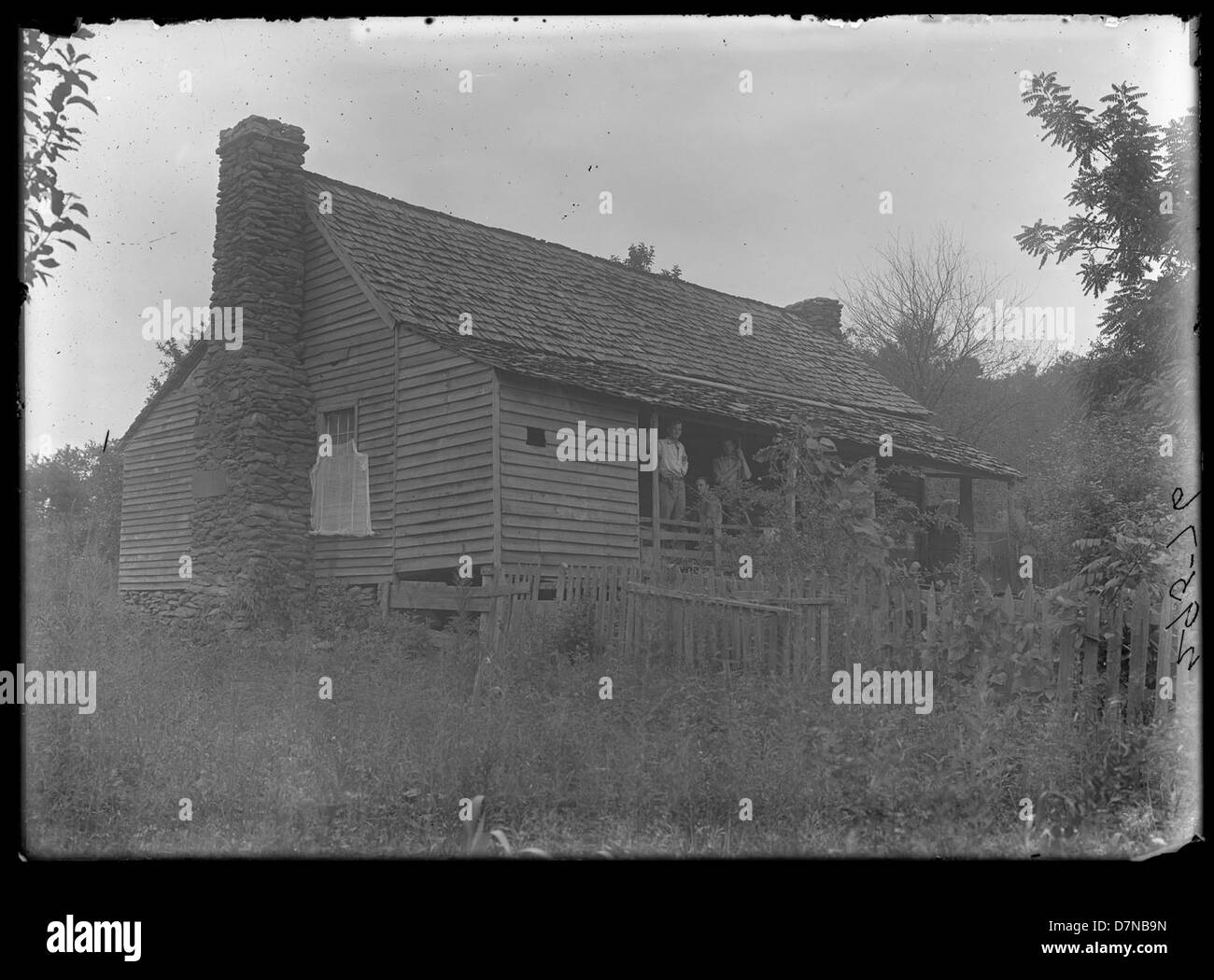 Ein Sommercamp, das von der University of Georgia in Blue Ridge, Georgia organisiert wurde, wo Studenten im Rahmen einer akademischen Expedition Botanik sammelten und Proben erforschten. Stockfoto