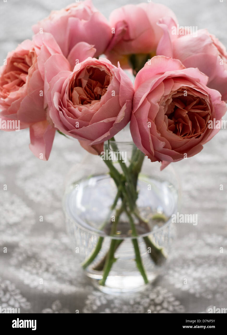 Rosa Pfingstrosen in einer vase Stockfoto