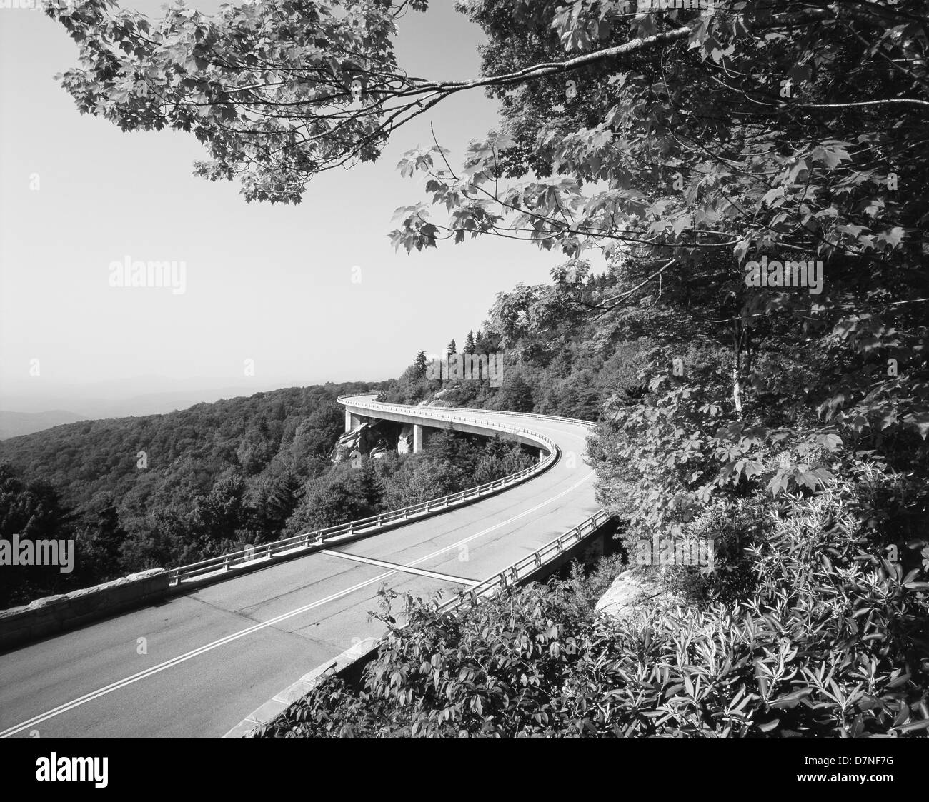 USA, North Carolina. Blue Ridge Parkway Nationalpark. Ansicht von Linn Cove Viaduct (großformatige Größen erhältlich) Stockfoto