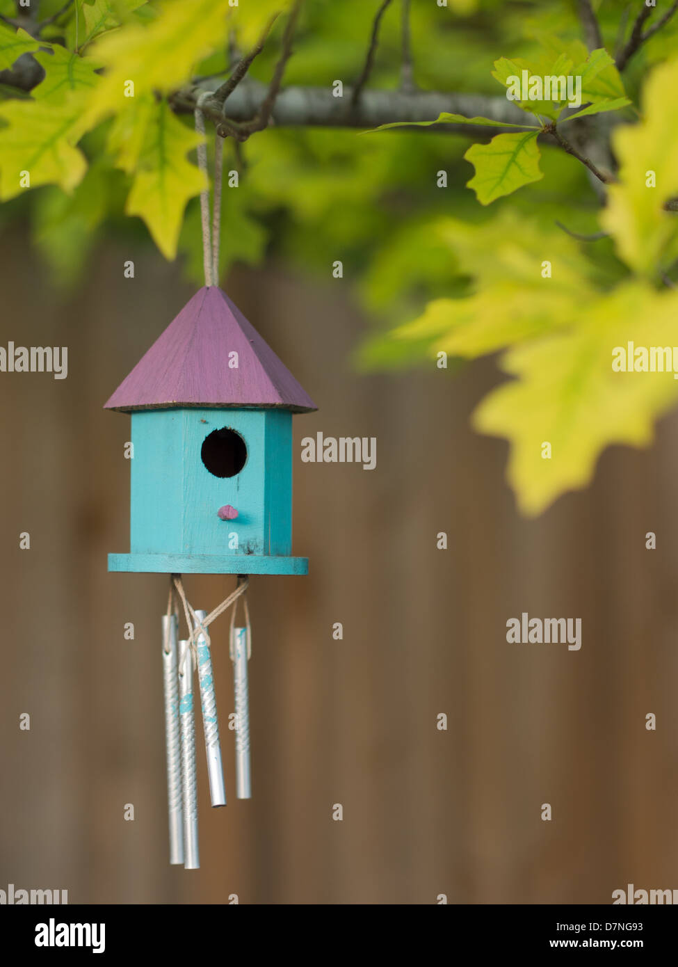 Bunt, aus Holz bemalt Vogelhaus hängend in einem Baum Stockfoto