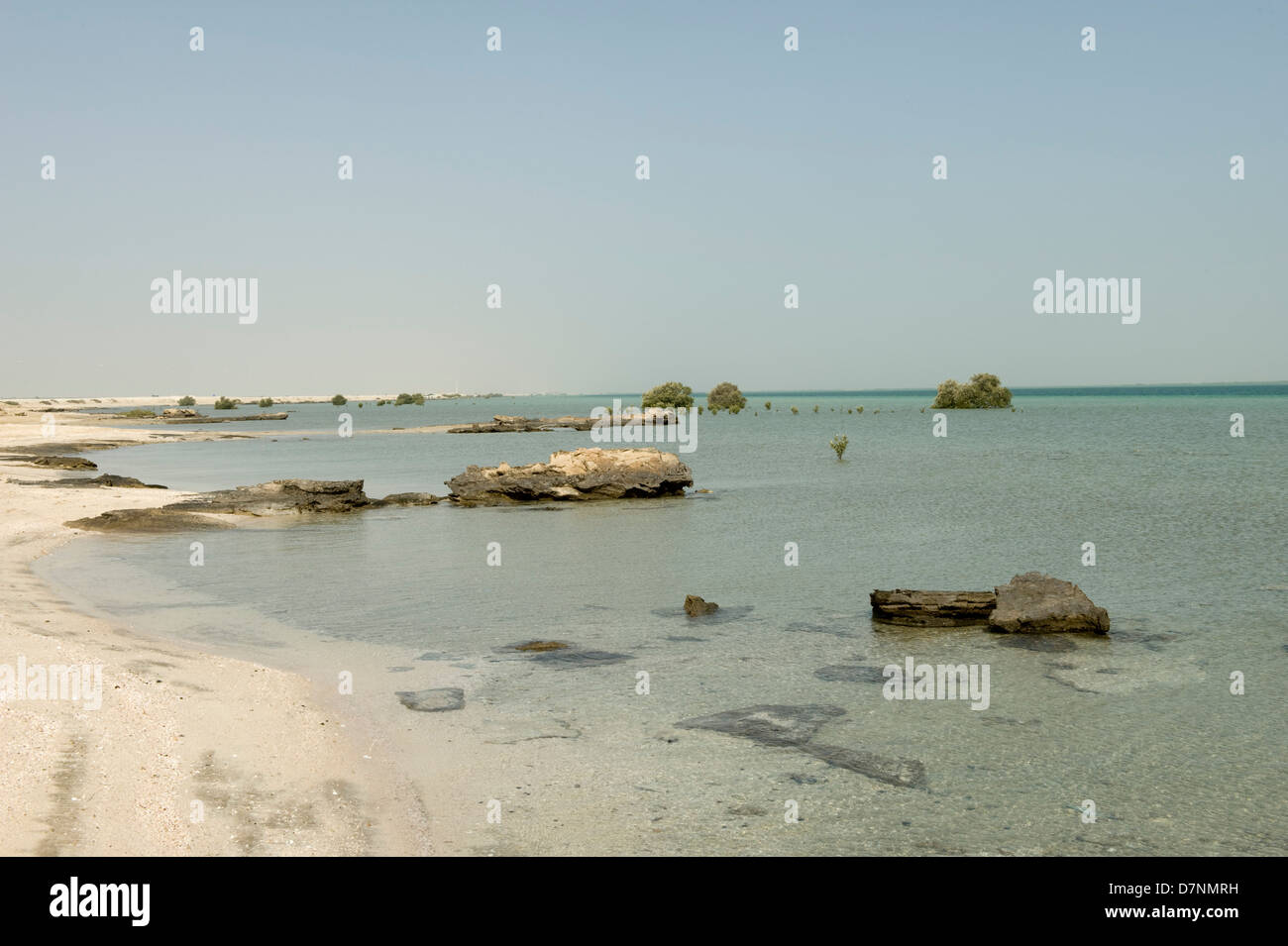 Einem entfernten Abu Dhabi Strand mit Felsen, Sand Meer am Persischen Golf bei Hochwasser und isolierten Reifen und jungen grauen Mangroven Stockfoto