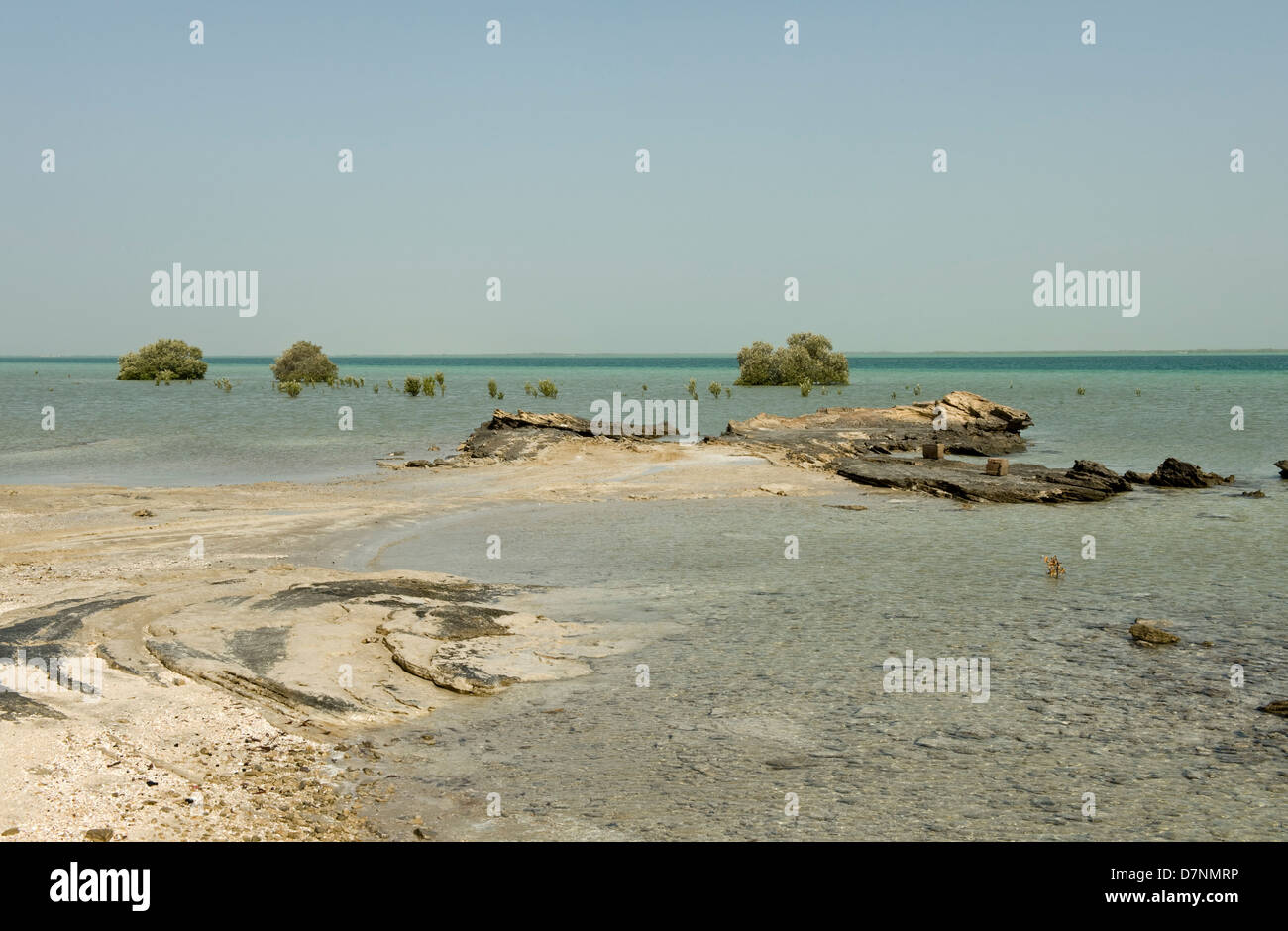 Ein entfernten Abu Dhabi Strand mit Felsen, sand Meer am Persischen Golf bei Hochwasser und Reife und junge grauen Mangroven zu isolieren Stockfoto