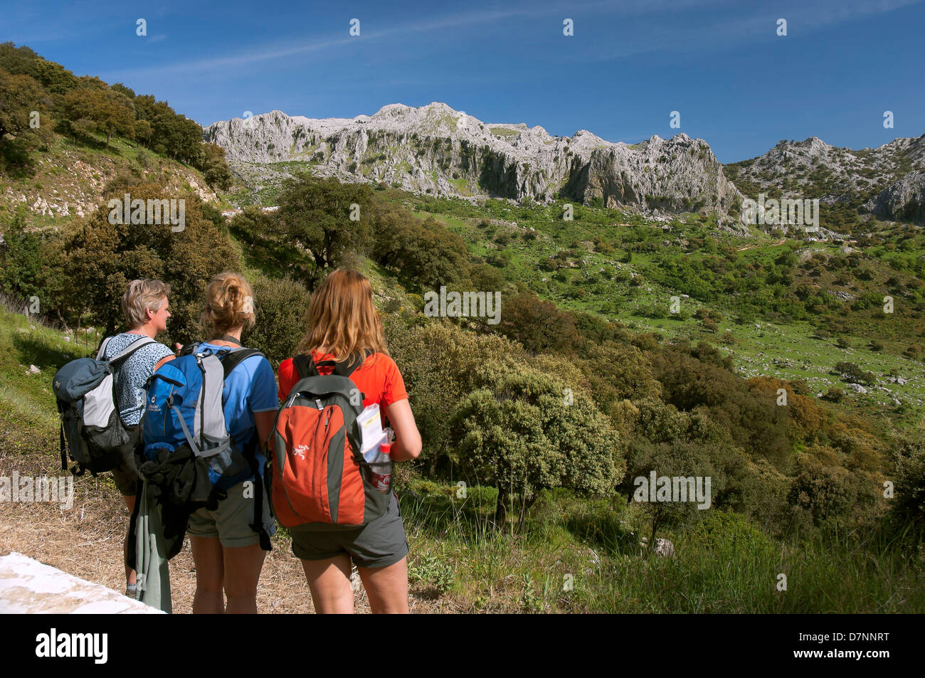Naturpark Sierra de Grazalema-Wanderer, Provinz Cádiz, Region Andalusien, Spanien, Europa Stockfoto