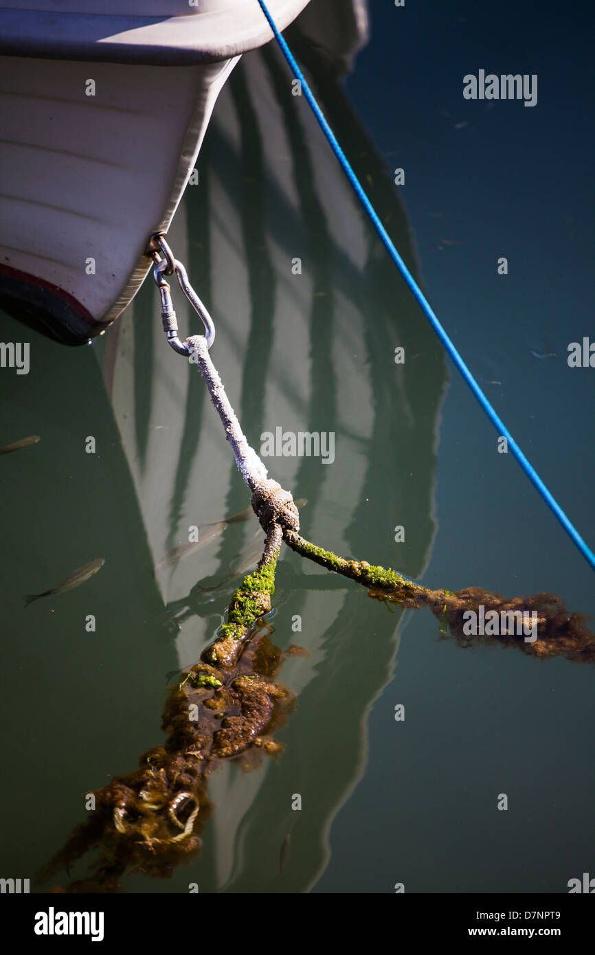 Fische schwimmen unter einem Boot mit Reflexion und eine Seile zum Pier zu verankern. Stockfoto